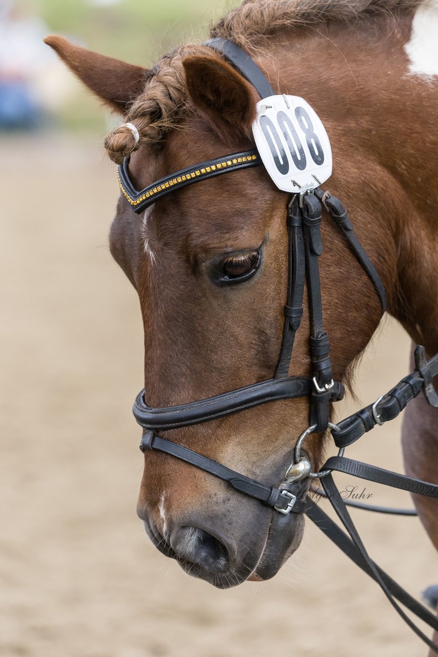 Bild 489 - Pony Akademie Turnier